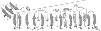 Figure 9.