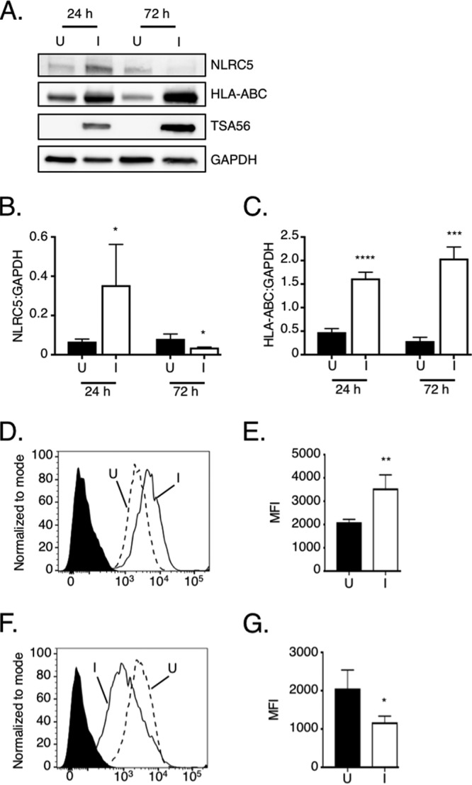 FIG 4