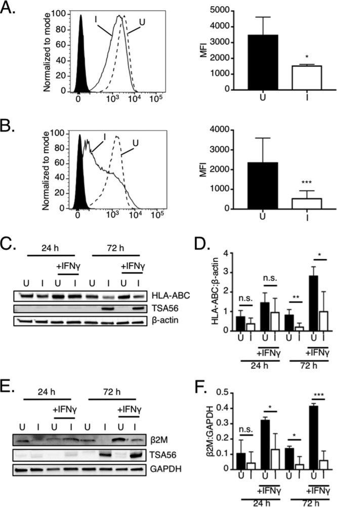 FIG 1