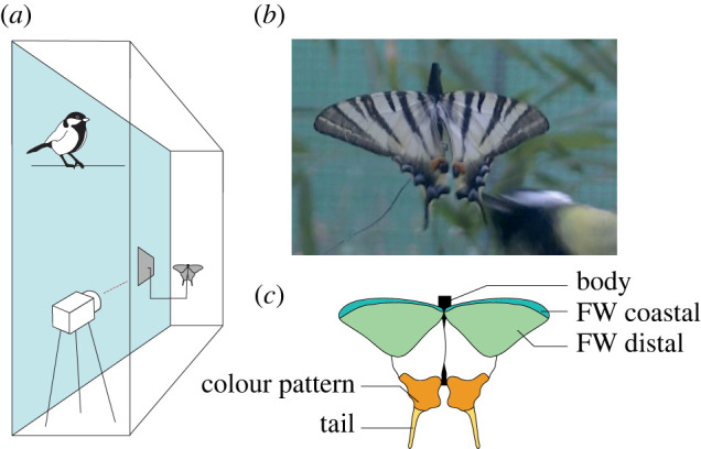 Figure 1. 