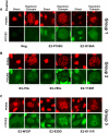 FIG. 4.