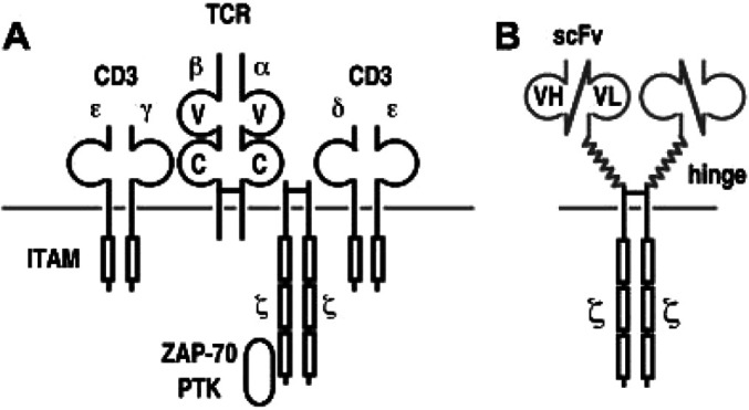 Fig. 2A