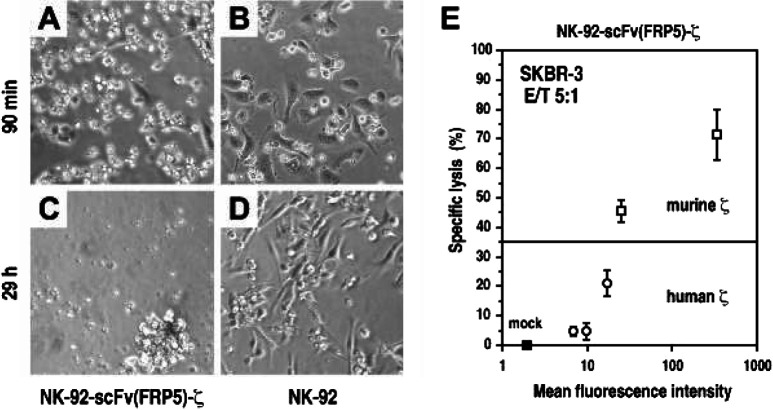 Fig. 3A–D