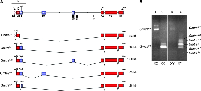 Figure 2.—