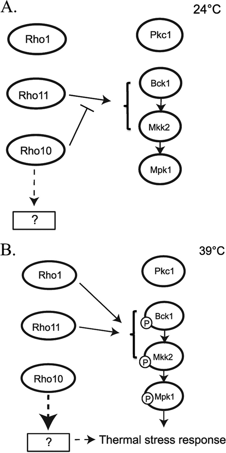 Fig 11