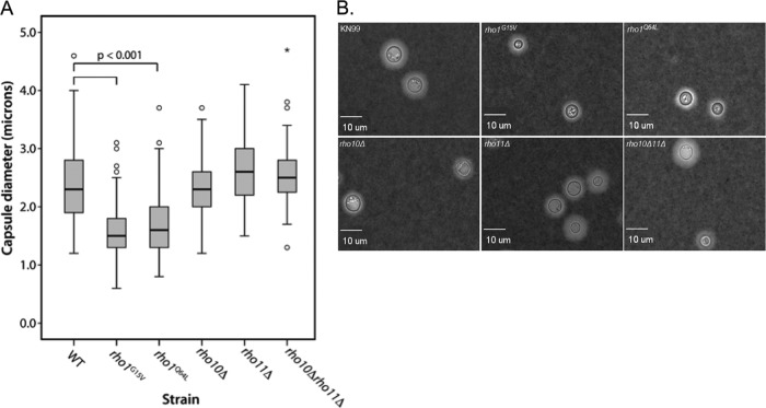 Fig 9