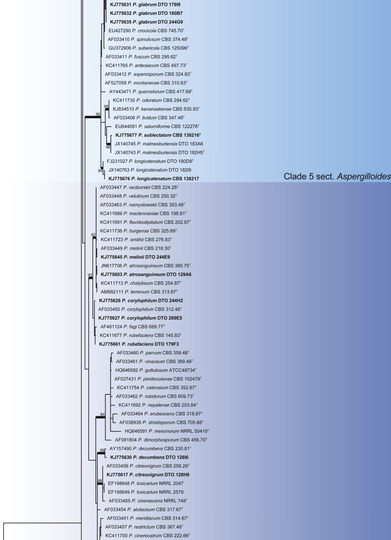 Fig. 12