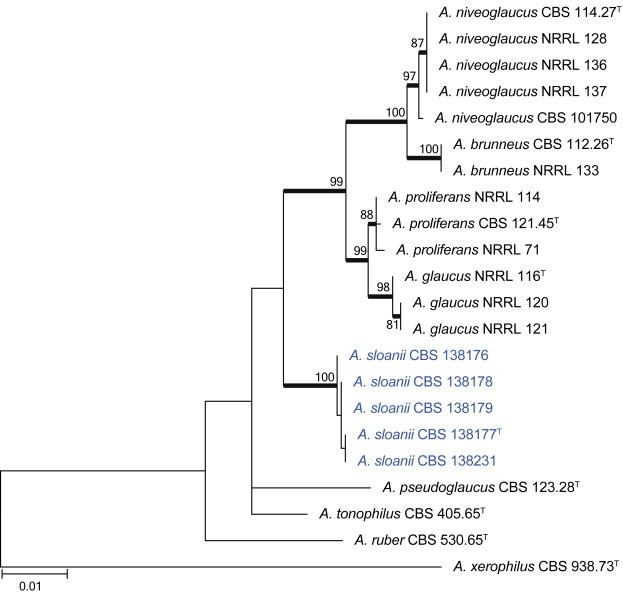 Fig. 36