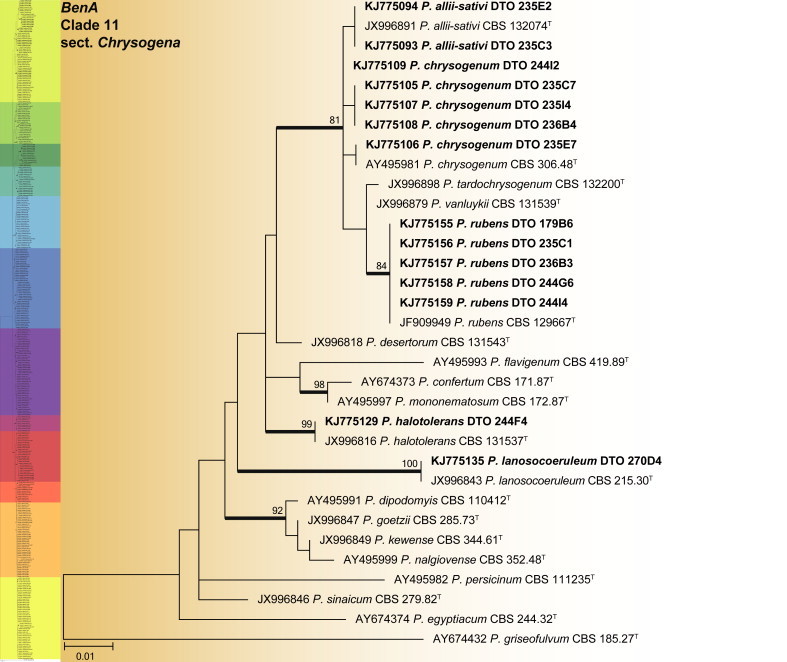 Fig. 23