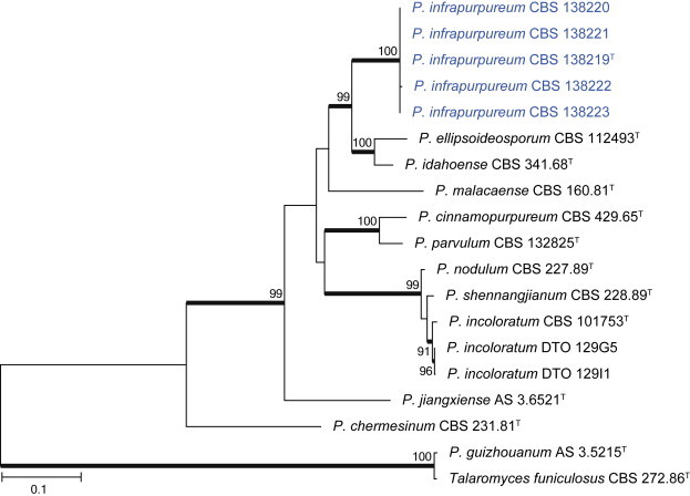 Fig. 46