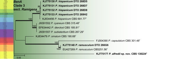 Fig. 15