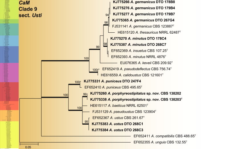 Fig. 10