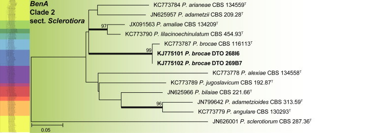 Fig. 14