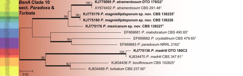 Fig. 22