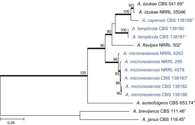 Fig. 32