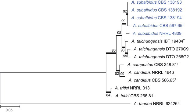 Fig. 30