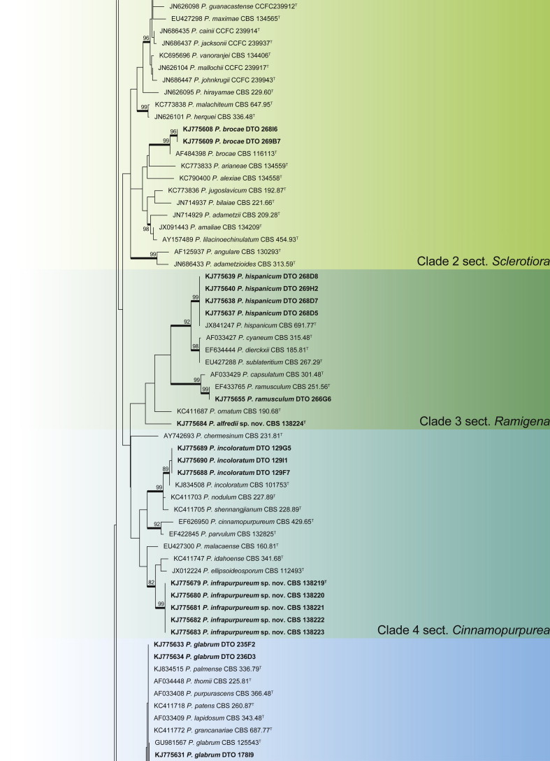 Fig. 12