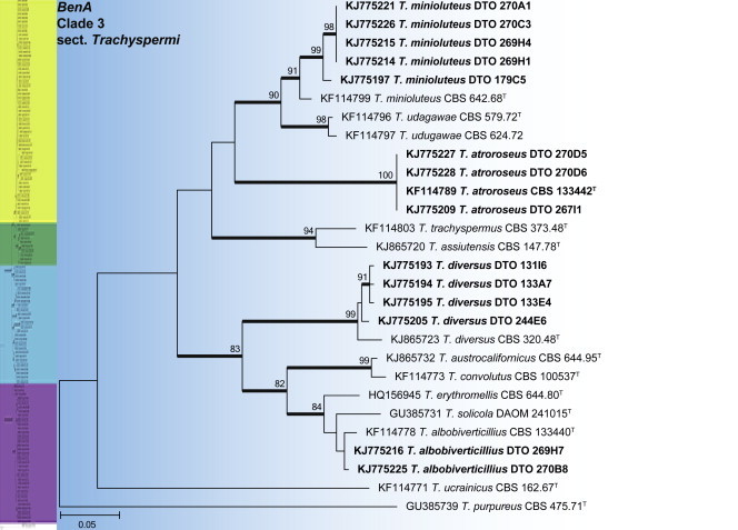 Fig. 28