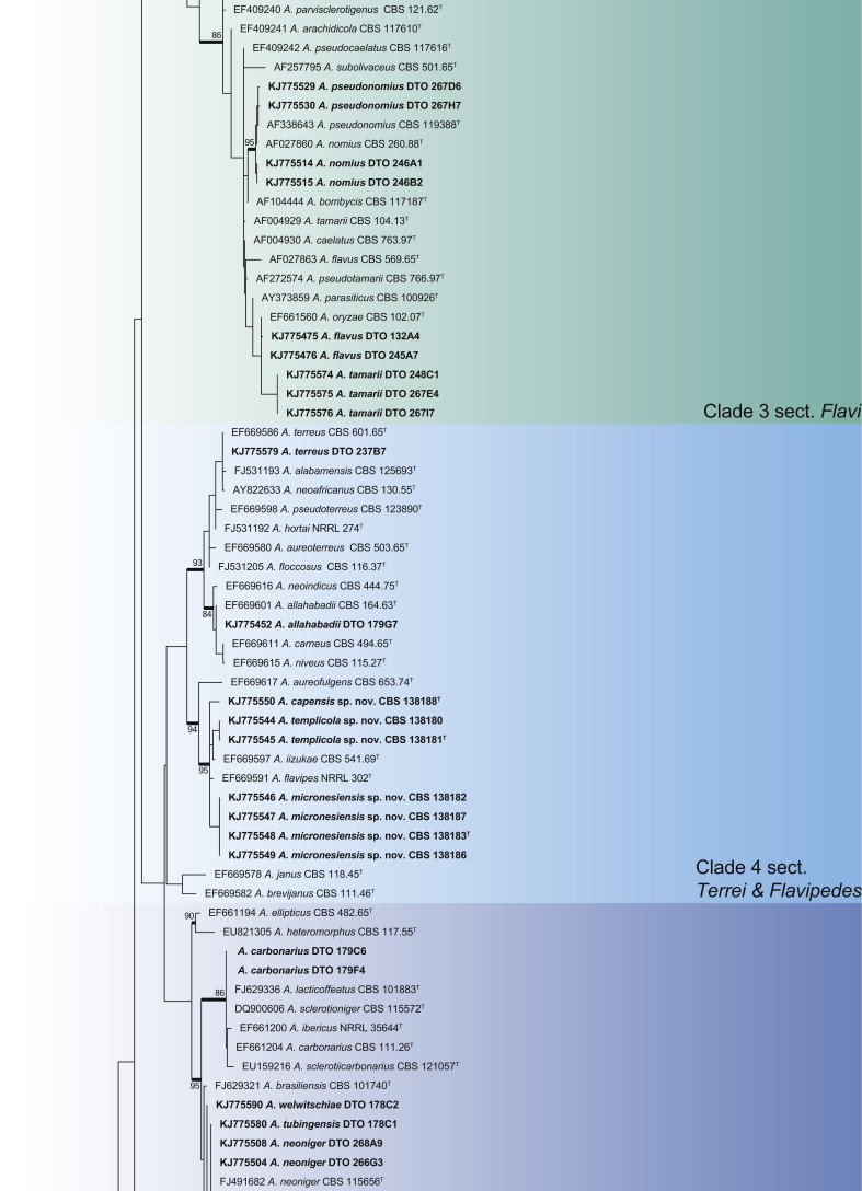 Fig. 1