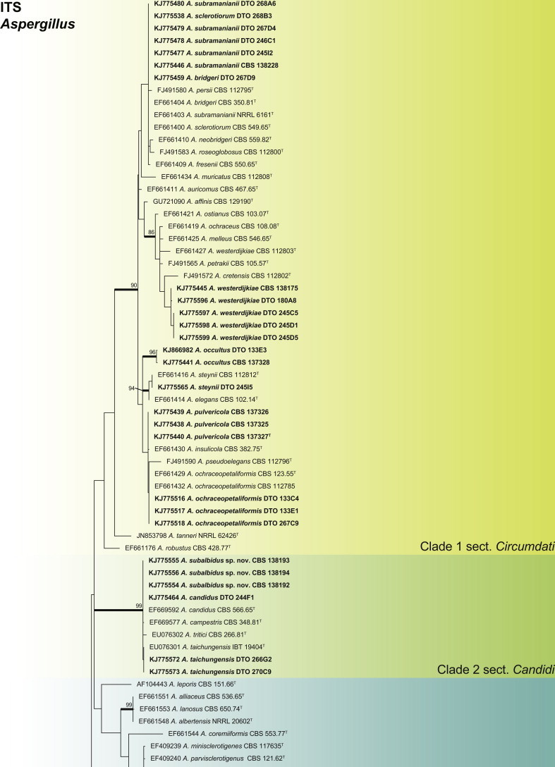 Fig. 1