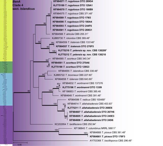 Fig. 29