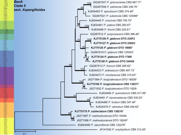 Fig. 17