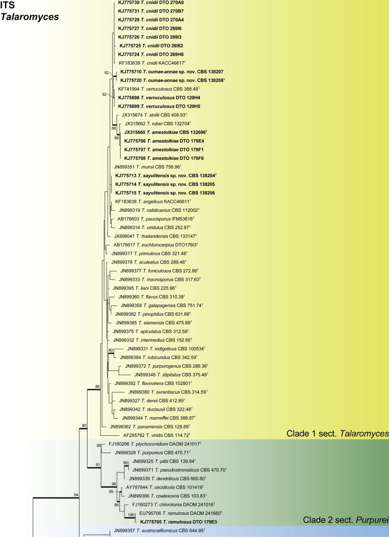 Fig. 25