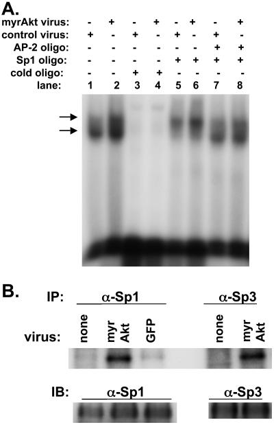 Figure 9.