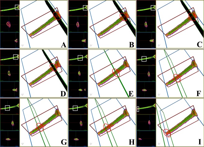 Figure 7