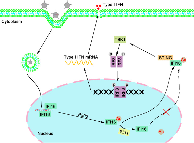 FIG 12