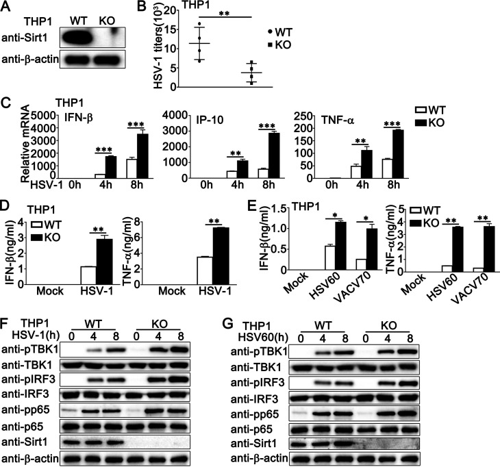 FIG 4