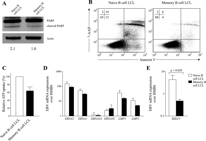 FIG. 7.