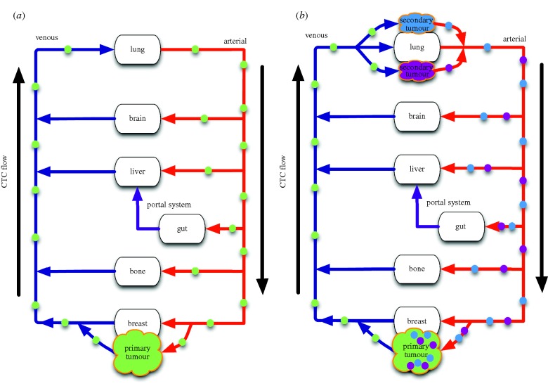 Figure 3.