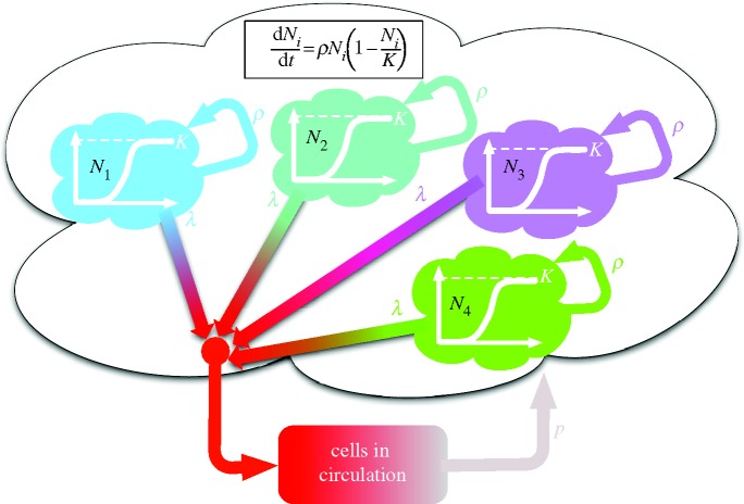 Figure 2.