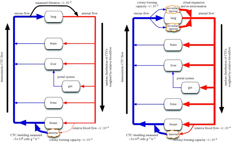 Figure 1.