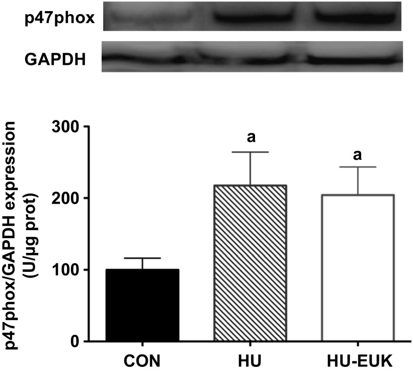 Fig. 9.