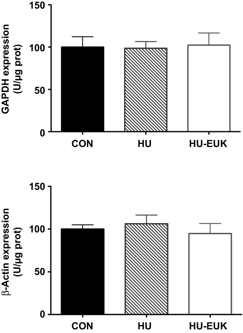 Fig. 10.