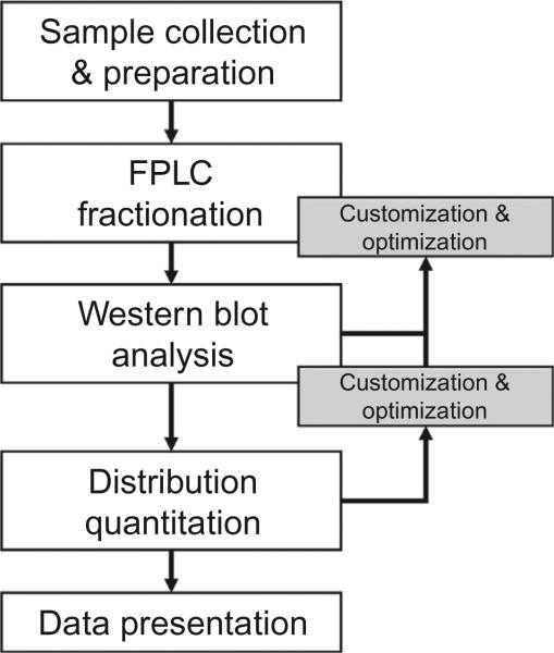 Figure 13.1