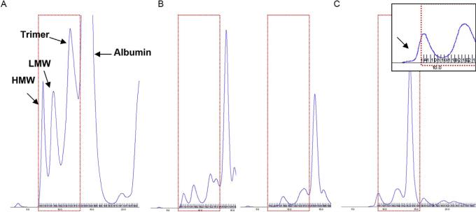 Figure 13.2