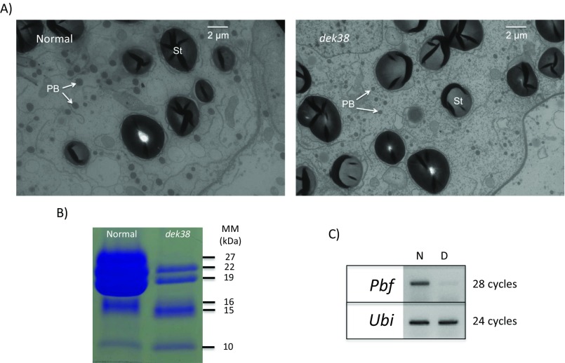 Fig. S4.