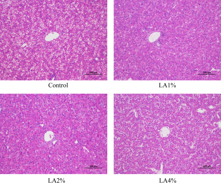 Figure 4