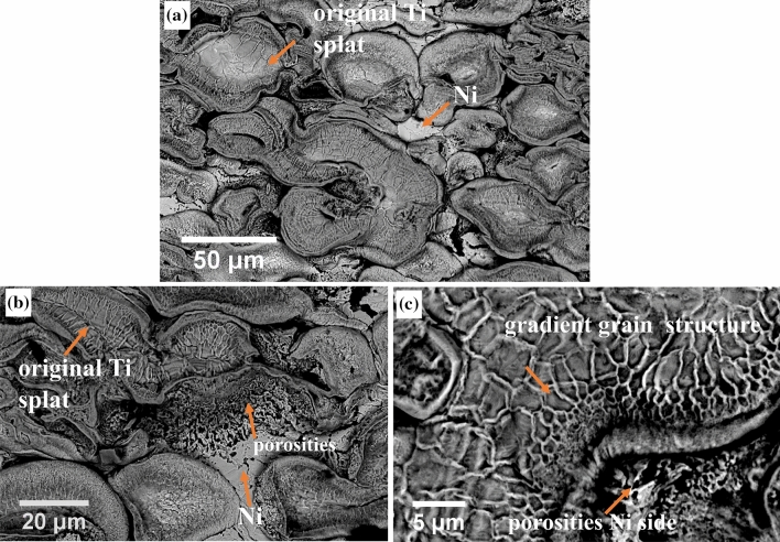 Fig. 7