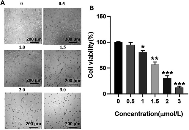 FIGURE 3