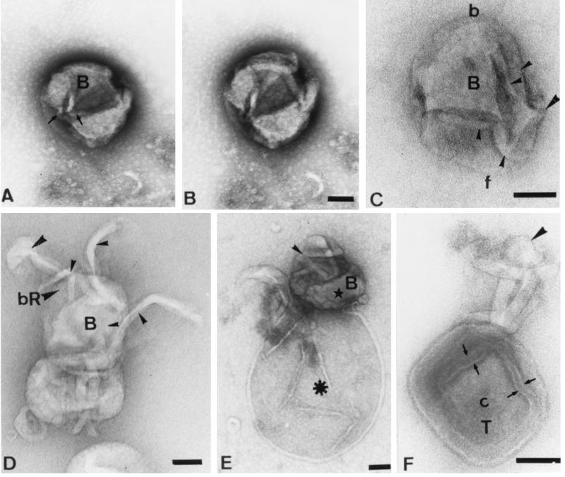 FIG. 8