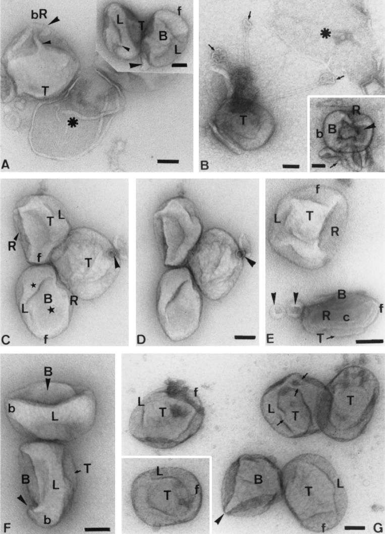 FIG. 7