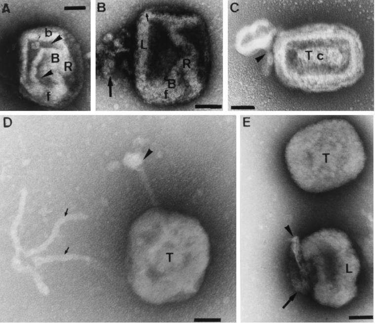 FIG. 9