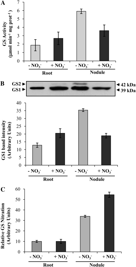 Figure 9.