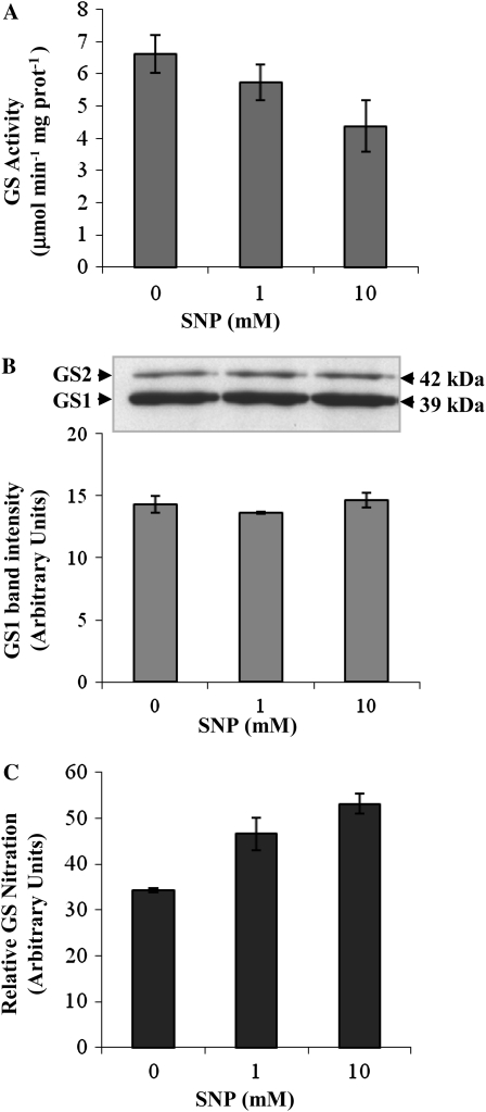 Figure 10.