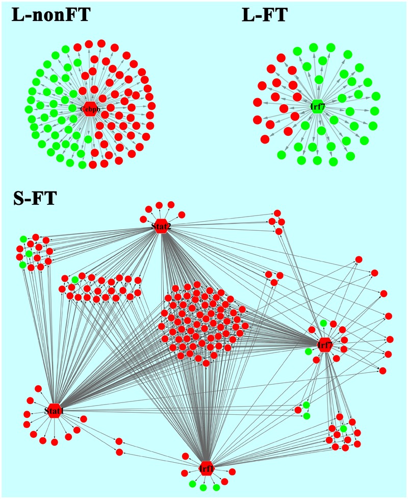 FIGURE 6