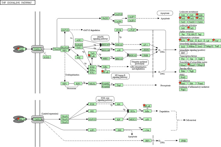 Figure 1